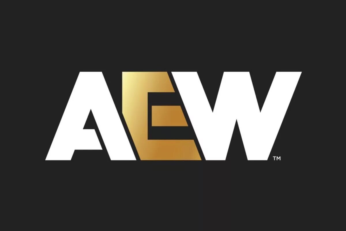 First AEW Book Officially Announced For November 2025