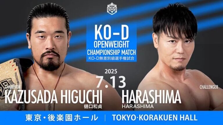 A graphic for DDT ROCK IN RING 2025.
