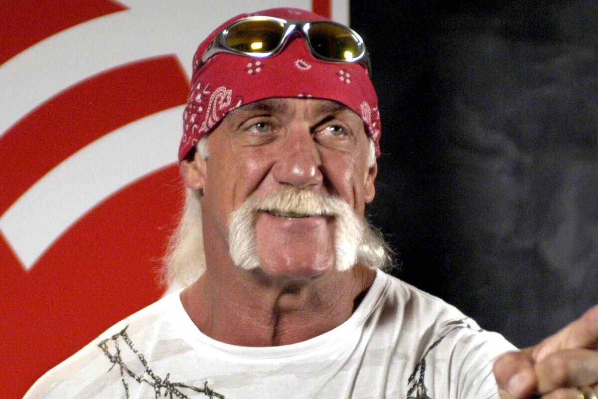 Image of Hulk Hogan Credit: WikiMedia Commons