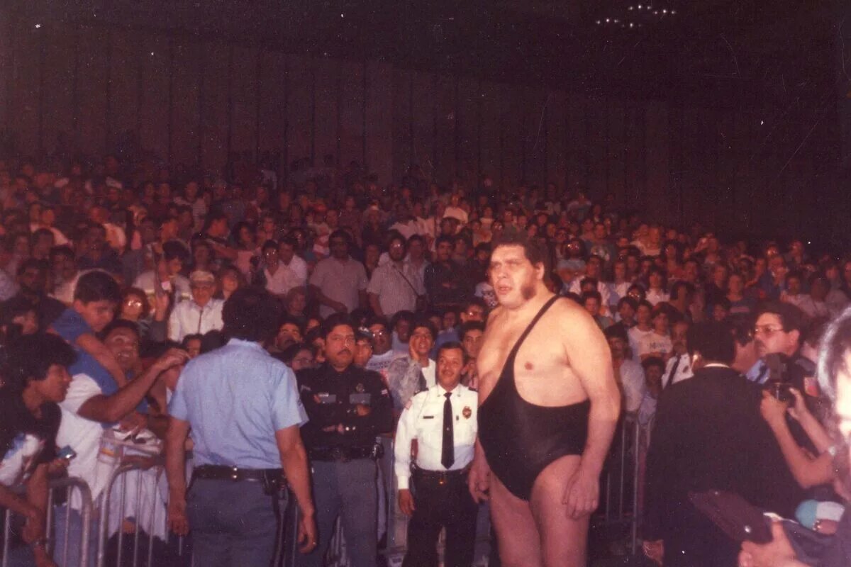 A photo of WWE Legend Andre the Giant.