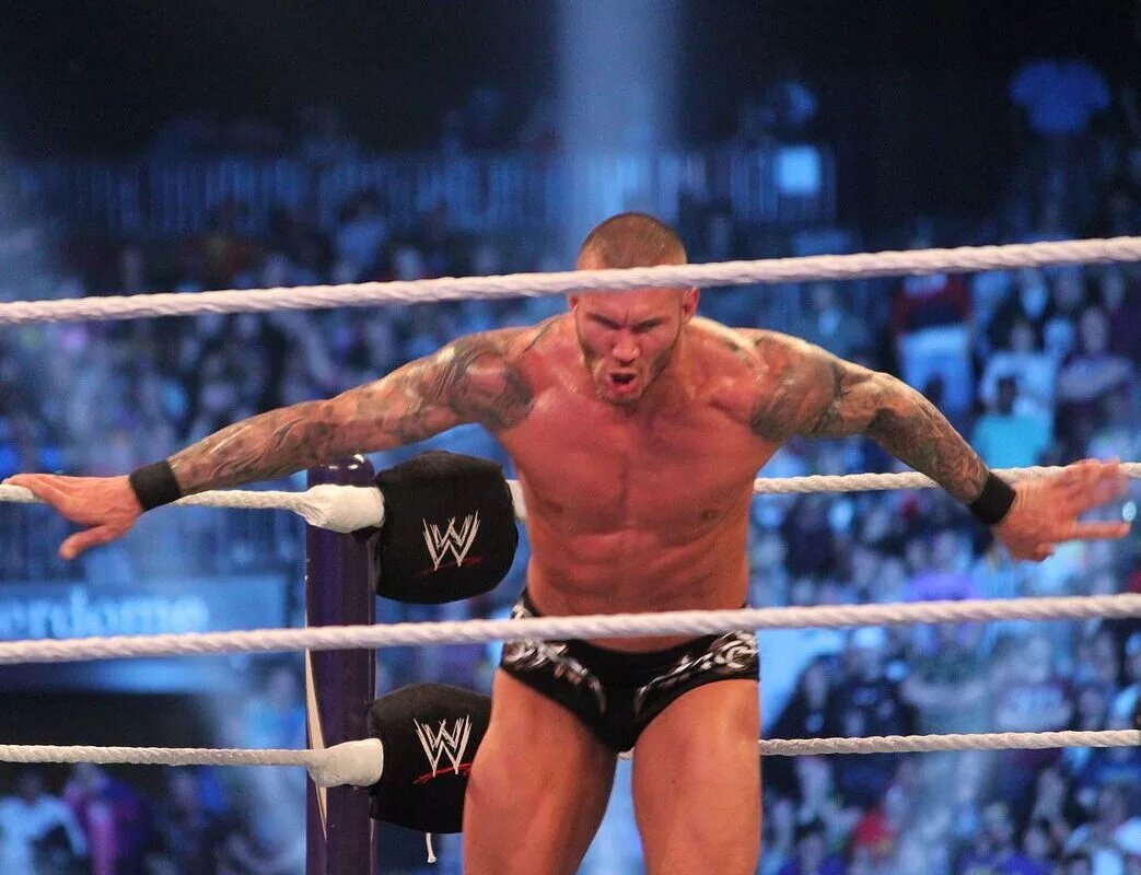 A blog banner WWE dream matches featuring Randy Orton.