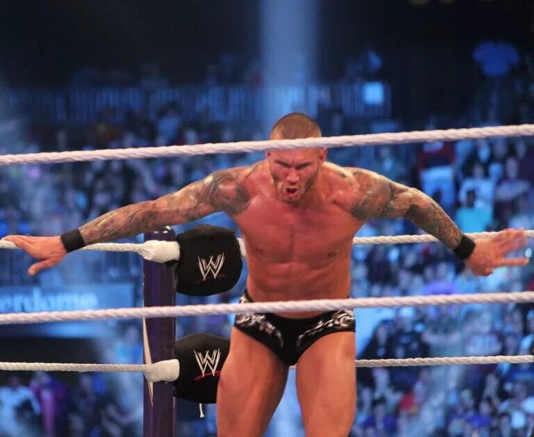 A blog banner WWE dream matches featuring Randy Orton.