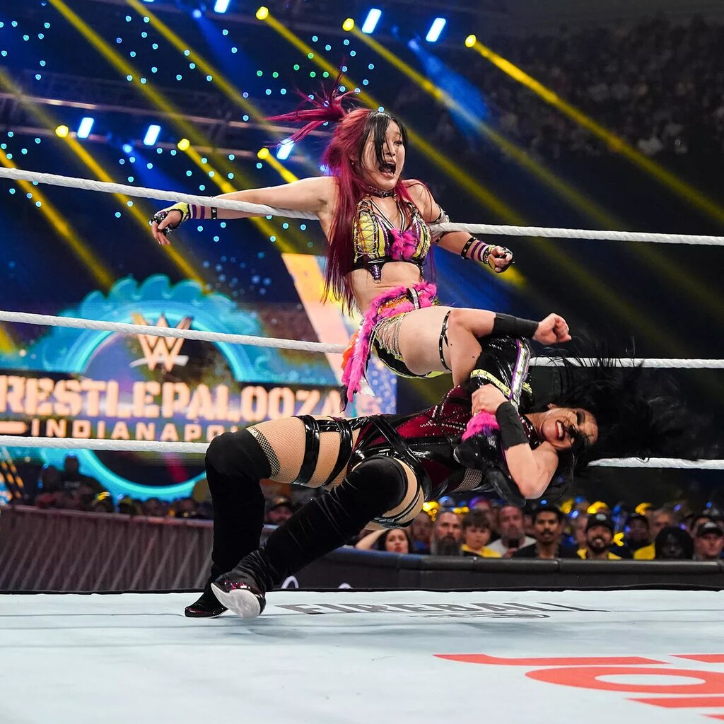 The Women's World Championship match between Vaquer and SKY stole the show at Wrestlepalooza