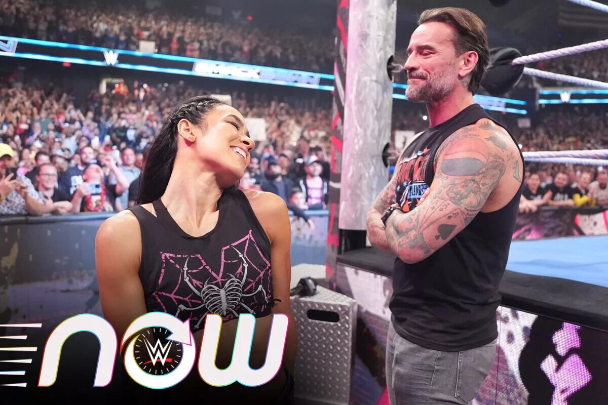 AJ Lee and CM Punk image