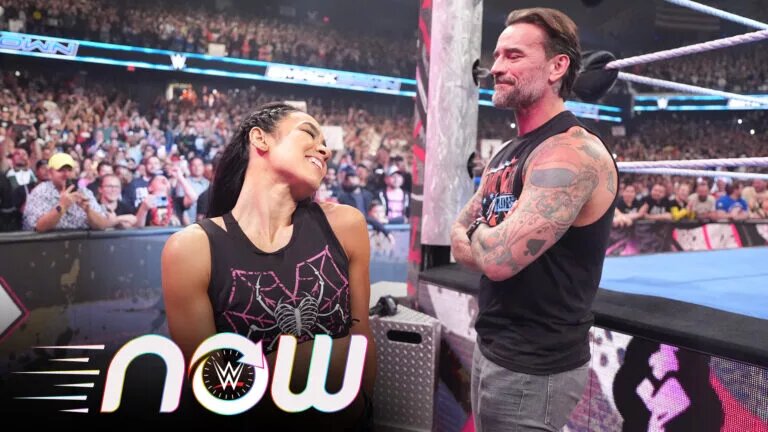 AJ Lee and CM Punk image
