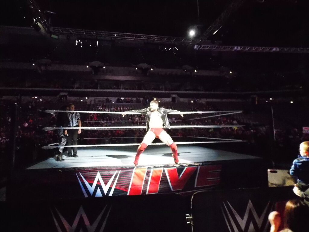 A graphic of The Judgment Day leader, WWE Superstar Finn Balor.