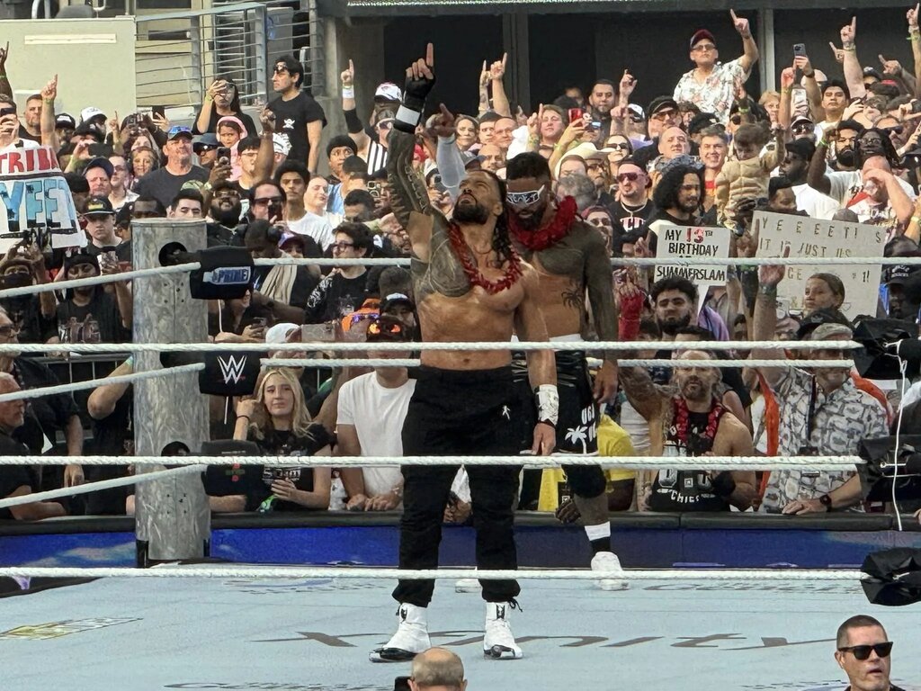 A photo of WWE star Roman Reigns.