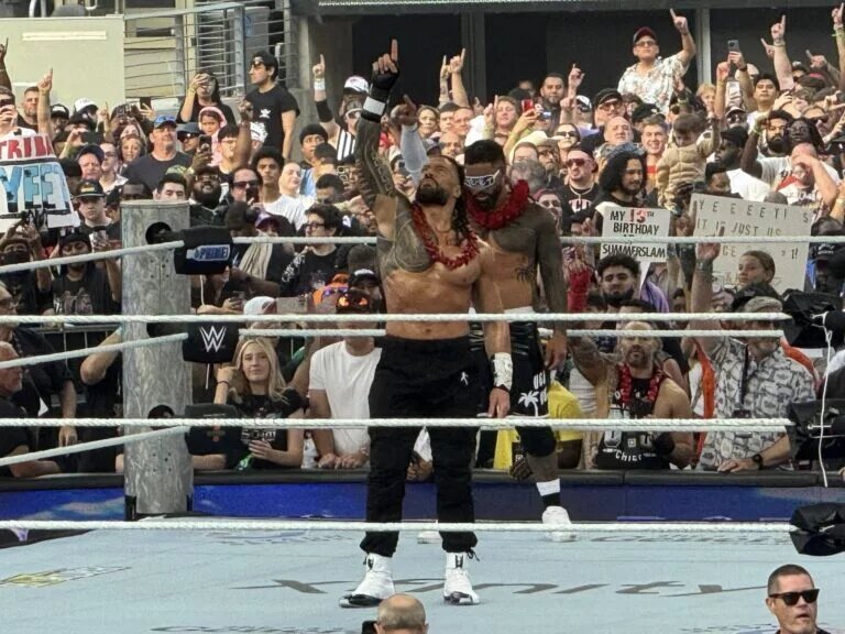 A photo of WWE star Roman Reigns.