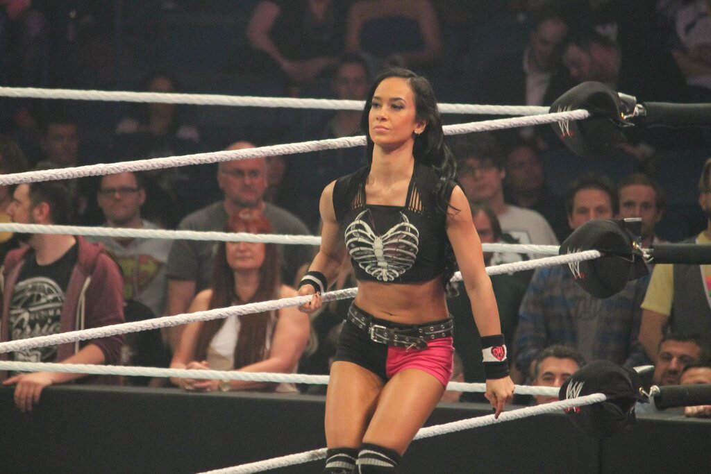 A photo of potential CM Punk partner, AJ Lee.