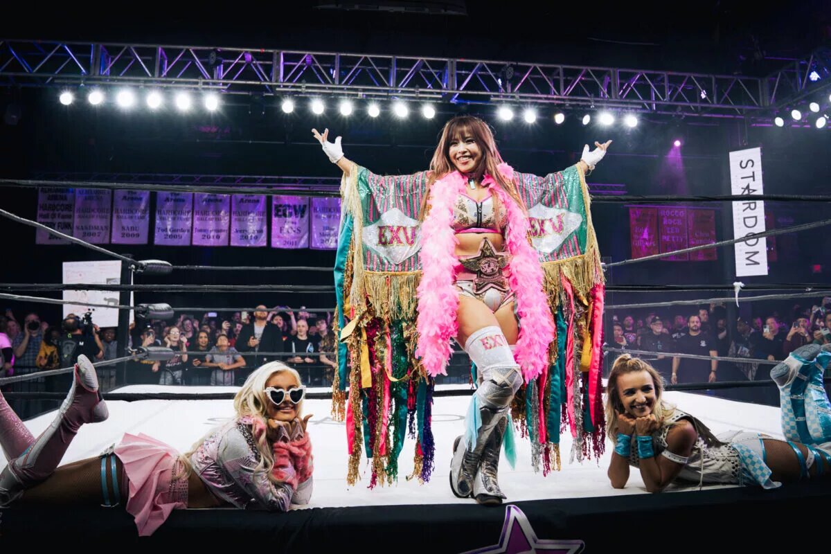 A blog banner for the Japanese Wrestling Streaming platforms article.