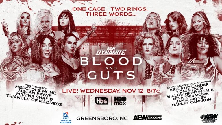 A graphic for AEW Dynamite: Blood and Guts, which will happen on November 12, 2025.