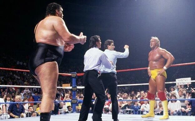 WWE Survivor Series was built off the rivalry of Hulk Hogan and Andre The Giant 