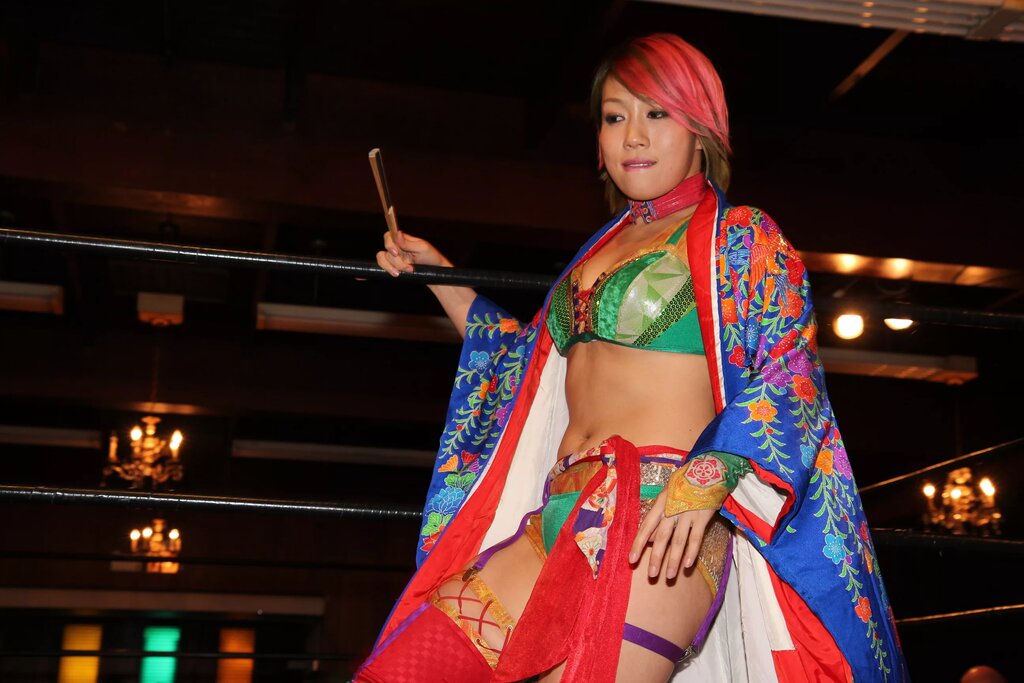 A photo from a Shimmer Women Athletes show.