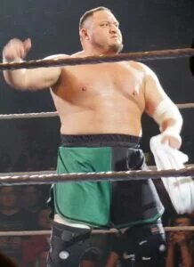 Samoa Joe 2017