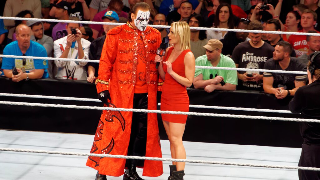 A photo of wrestling legend, Sting, who made his WWE debut at WWE Survivor Series 2015.