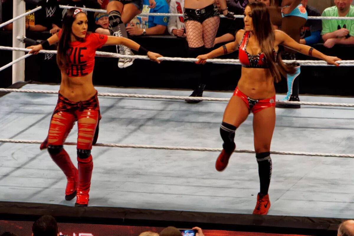 A photo of possible RHIYO WWE rivals, The Bella Twins.