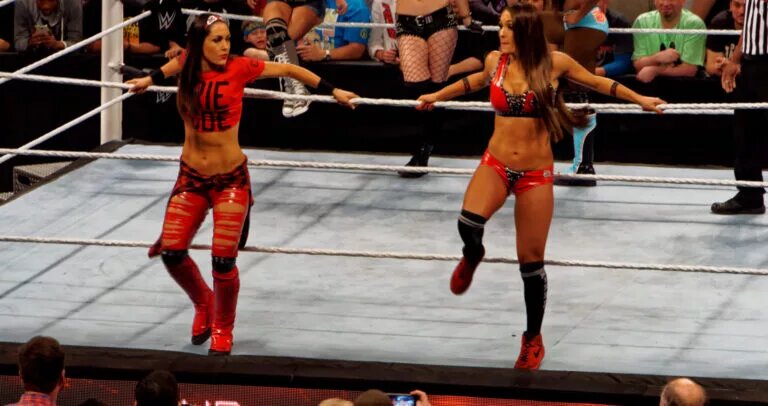 A photo of possible RHIYO WWE rivals, The Bella Twins.