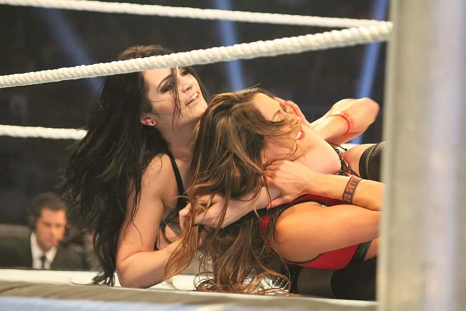 Image of WWE's Paige with Nikki Bella in a headlock