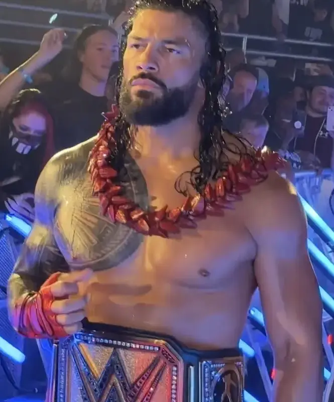 WWE star Roman Reigns at SummerSlam 2024.