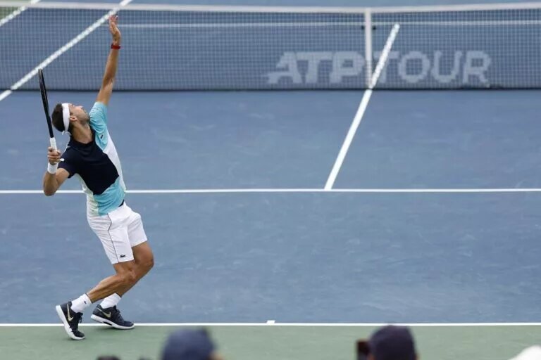 Grigor Dimitrov in action at the ATP Washington Open.
