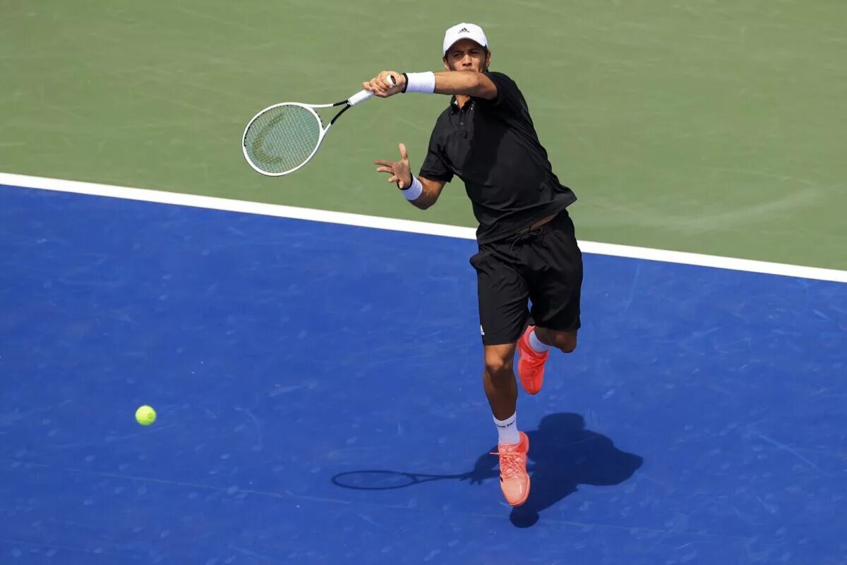 Fernando Verdasco Western and Southern